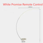 Modern Remote Control LED Floor Lamp