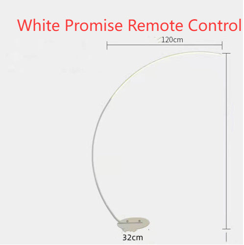 Modern Remote Control LED Floor Lamp